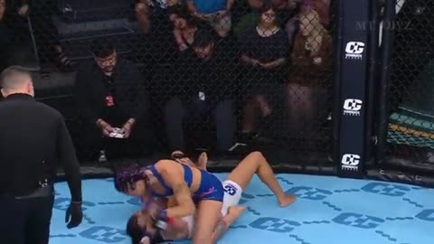 MMA & Boxing Knockouts, 2024