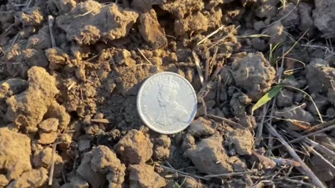 1931 Shilling Metal Detecting