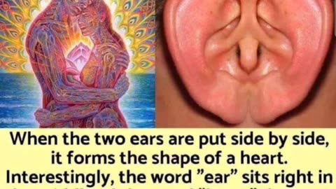 Did you Know? Ears and the Heart with Eden's LivingTV