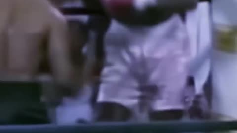 Tyson VS Jake Paul