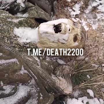 Don't Look so Suprised