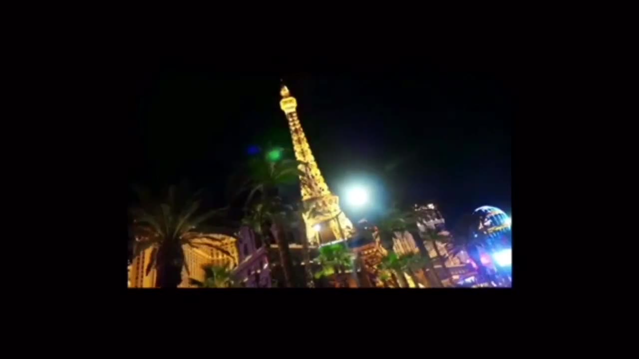 ZEBRA - WAIT UNTIL THE SUMMER'S GONE SOLERPLEXSTUDIOS INC .