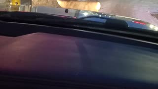 Deer Walks Up to Tim Hortons Drive-Thru Window