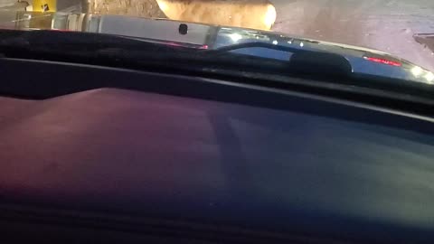 Deer Walks Up to Tim Hortons Drive-Thru Window