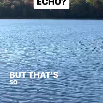 THAT ECHO WAS PERFECT!