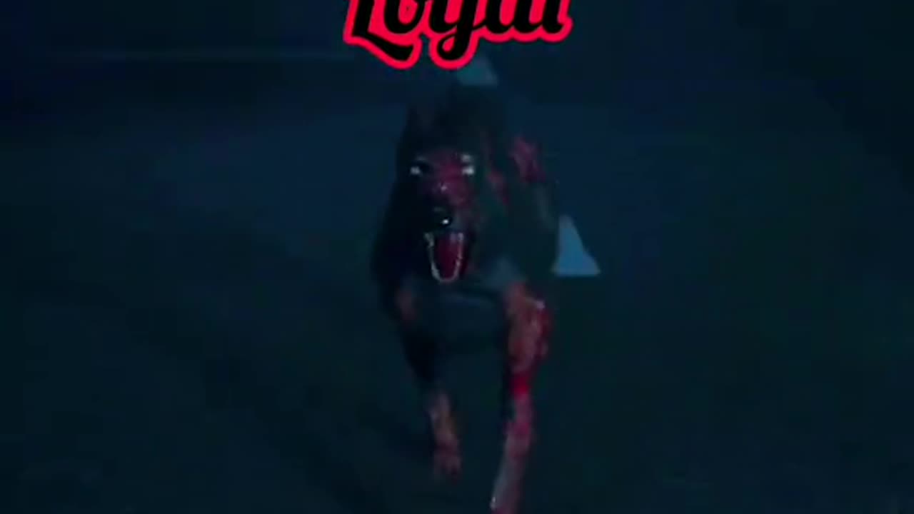 Resident Evil 2 - This is a Reminder you cant trust these dogs. PS I love you ADA Wong ♥💘