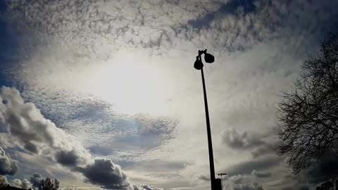 poisoning the sky