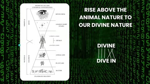 The Real Matrix INSIDE You: How Neo Is Your Brain's Neocortex! (Revival Of Wisdom) (Occult Lecture)