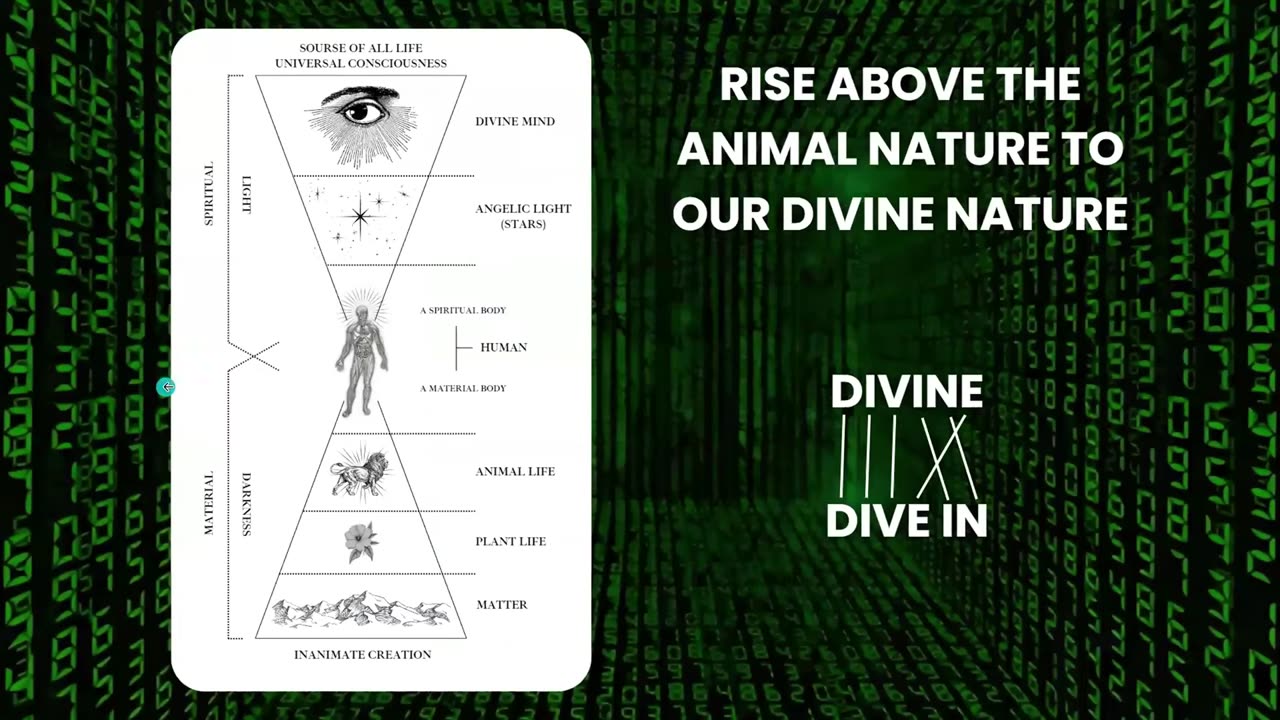 The Real Matrix INSIDE You: How Neo Is Your Brain's Neocortex! (Revival Of Wisdom) (Occult Lecture)