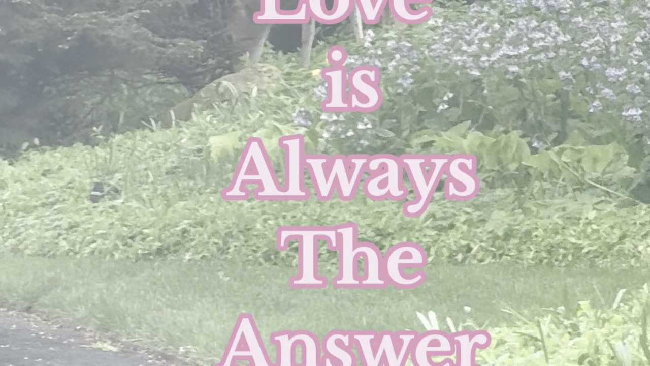 Love is Always the Answer! 💕