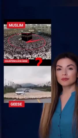 Για οσους τα πιανουν.......... και φυσικα γνωριζουν τι παιζει!!!!