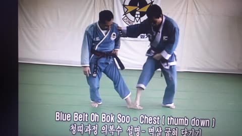 Jung Ki Kwan Hapkido