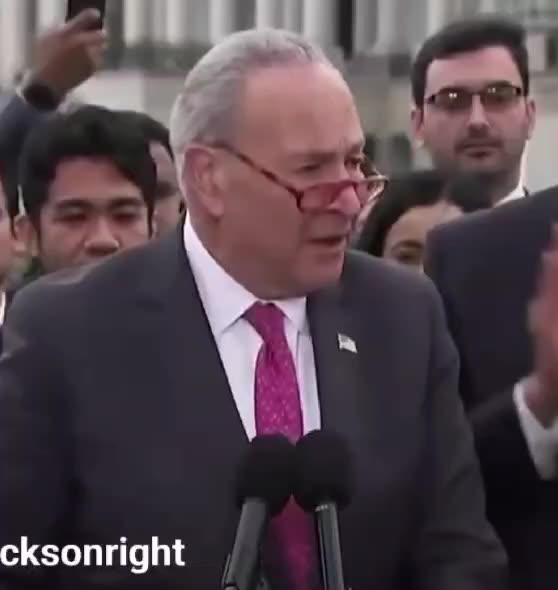 Chuck Schumer Admits Replacement Conspiracy Theory is Reality