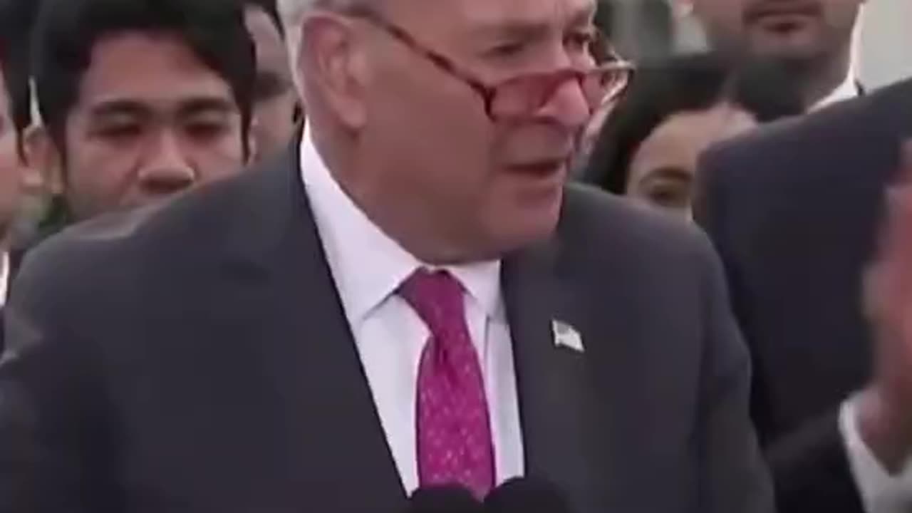 Chuck Schumer Admits Replacement Conspiracy Theory is Reality