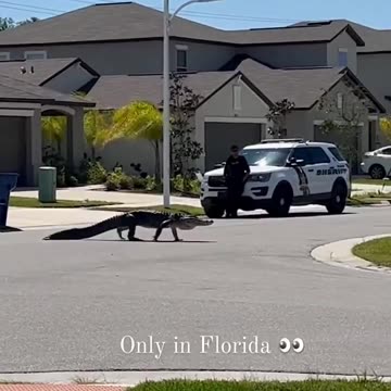 EN FLORIDA TOMANDO EL SOL