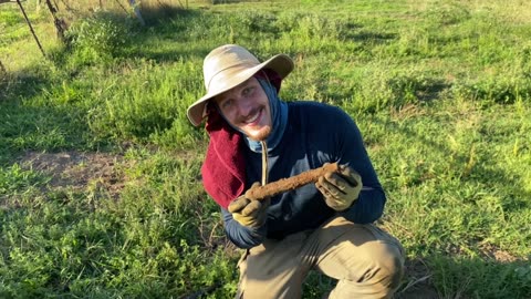 Old Pirate Pistol Found Metal Detecting