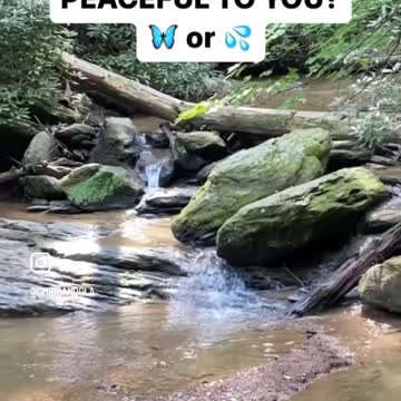 BUTTERFLY OR WATERFALL?