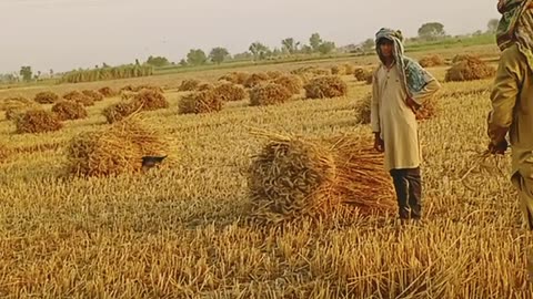 Farming village