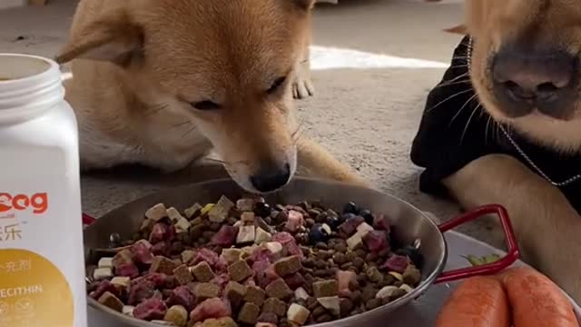 Small wood is the can and mark in three full bowl to eat