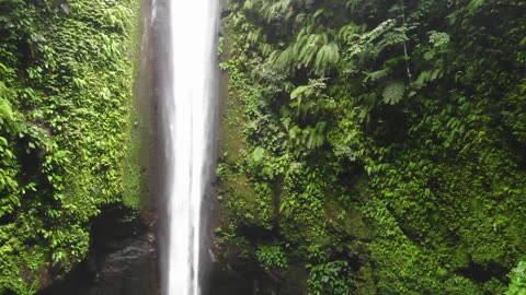 Philippine Nature