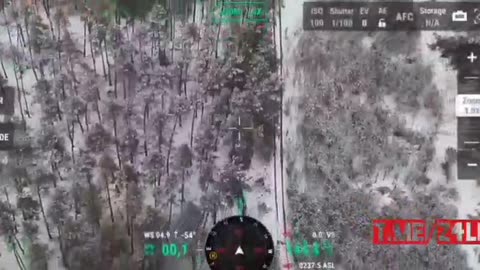 The forests of Kremennaya