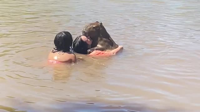 Swimming With A Surprise Friend