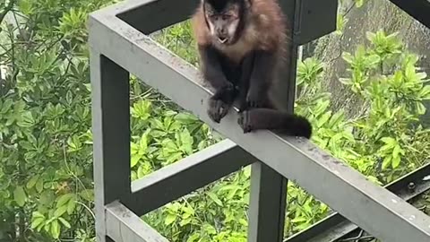 Brazil/Brasil one of the worlds most beautiful countries.