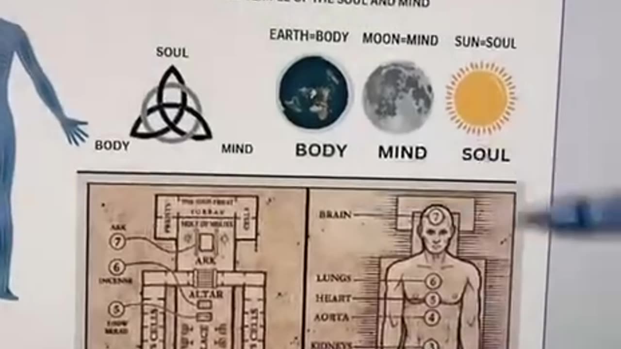 YOUR BODY IS THE WHOLE UNIVERSE! HEALTH and DETOX