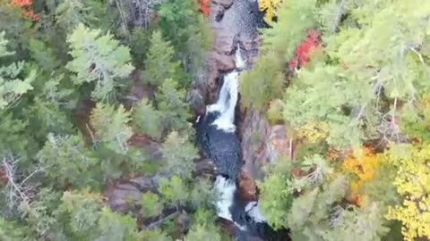 A Stream Running Through The Woods