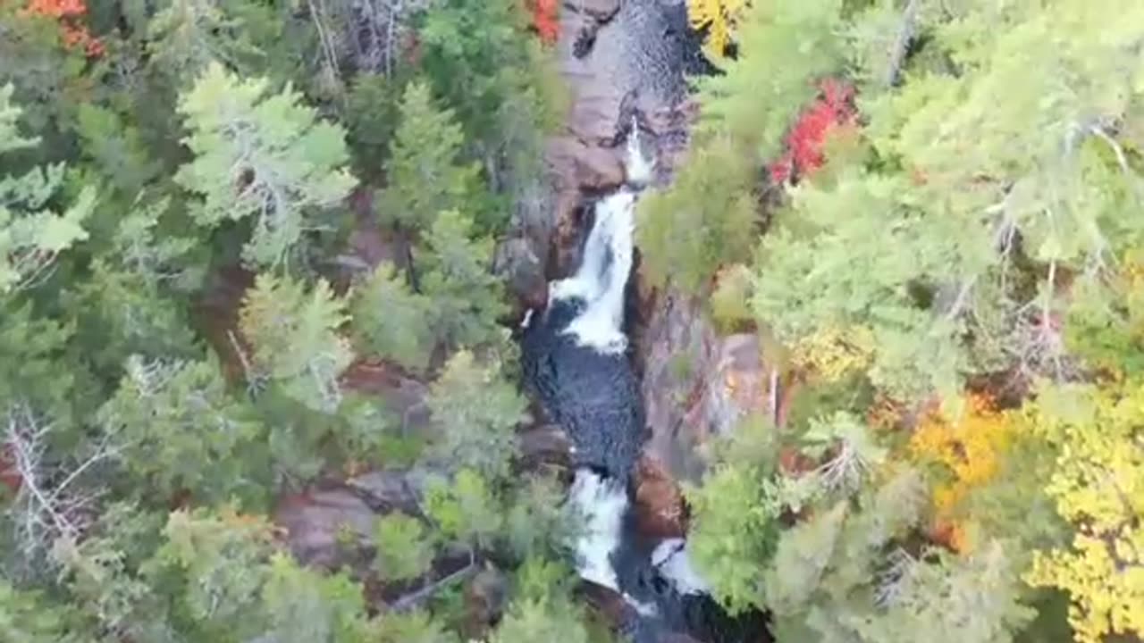 A Stream Running Through The Woods