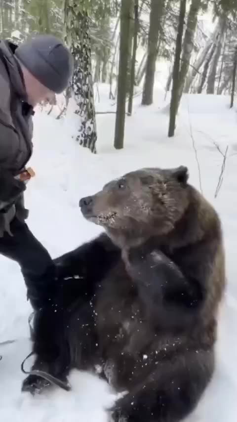 When you make friends with bears 😍😍🙏
