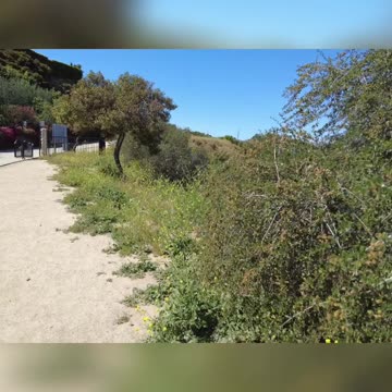 The Importance of Meeting People's Needs for Community and Democracy