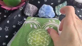 Herbal Healing Messages #shorts