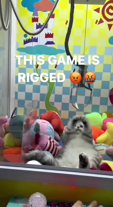 Rigged game since the 80s 😂🤣😂