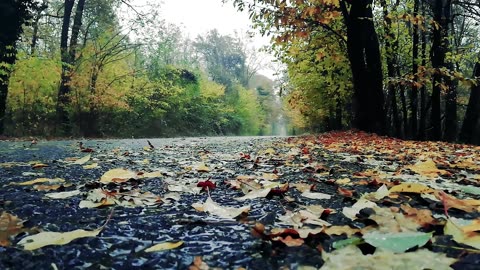 3 video materials of beautiful scenery in rainy days