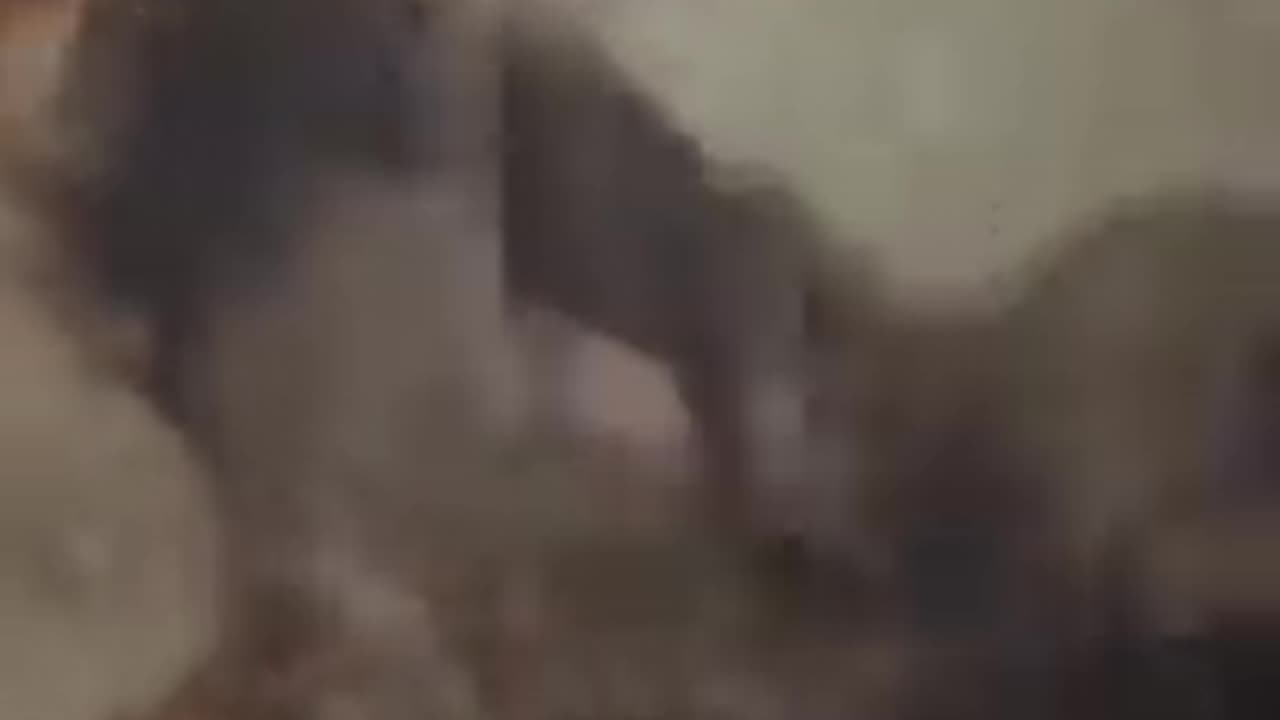 Turkey Earthquake / Those rescued from under the rubble