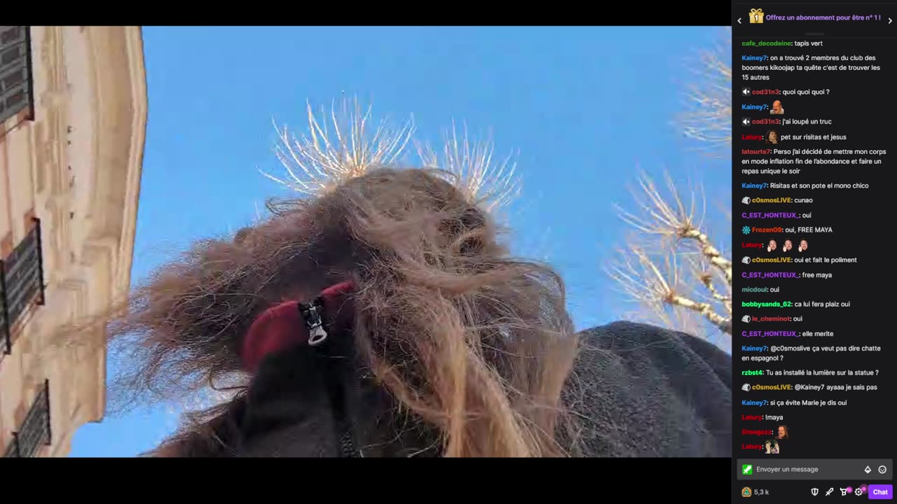 2023-02-02 (1bis.2) - Déplacement de livres - Twitch Meutemediatique (version avec chat)