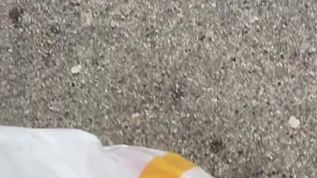 A Fun Surprise With Fast-Food Order