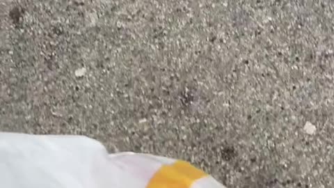 A Fun Surprise With Fast-Food Order