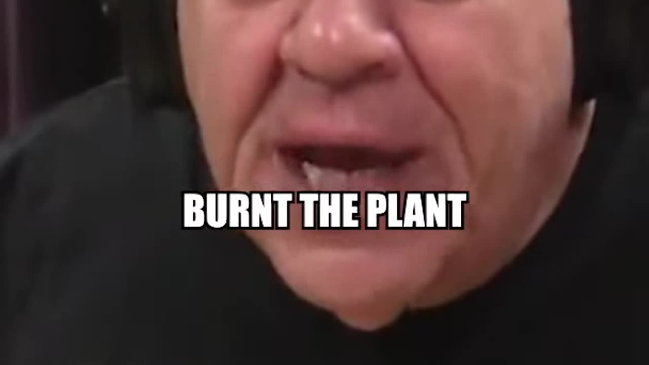 Joey Diaz and Joe Rogan First Person to get High