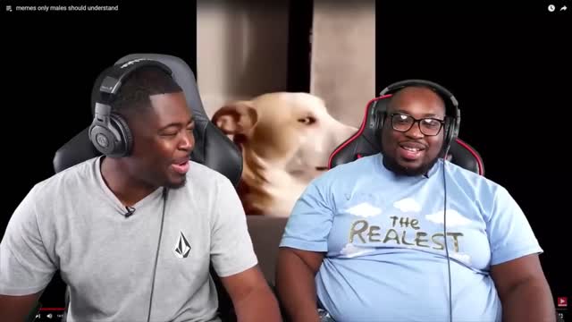 The story of the 🐕 pound