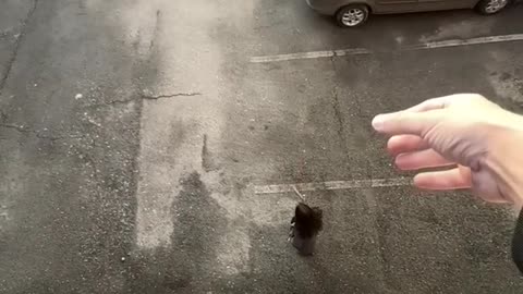when you try to make video --Not the best idea
