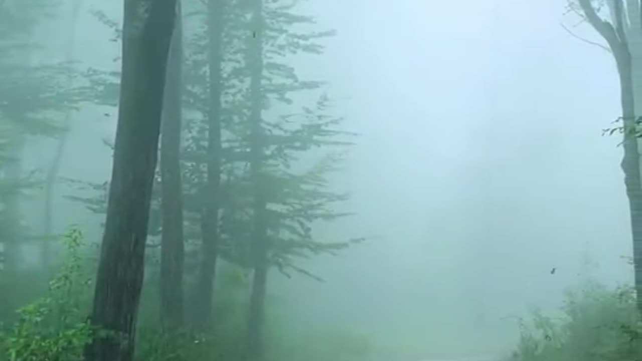 🔴 Relaxing Music 24/7, Sleep Music, Stress Relief Music, Spa, Meditation, Yoga, Zen, Sleeping Music
