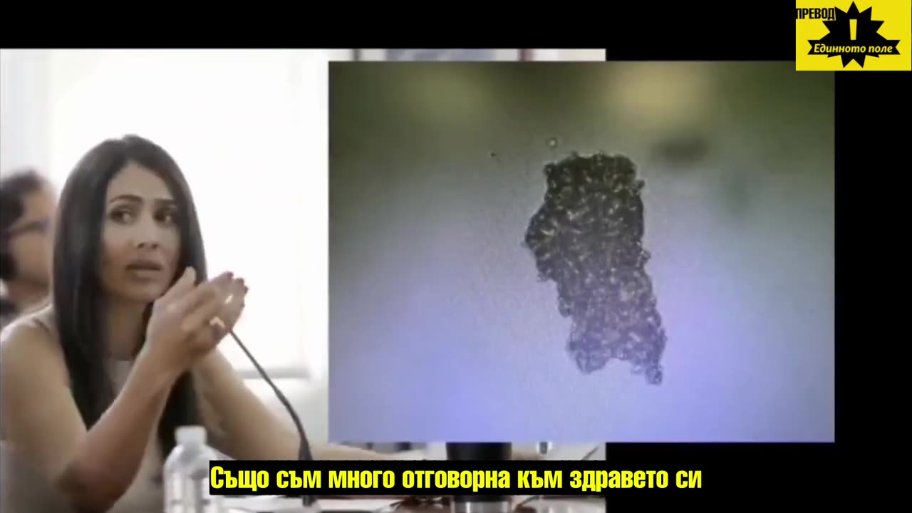 Публичнo изслушванe в Камарата на представителите на Пуерто Рико