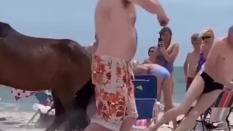 🔥What could go wrong, touching a random wild horse???