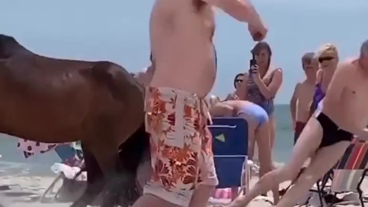 🔥What could go wrong, touching a random wild horse???