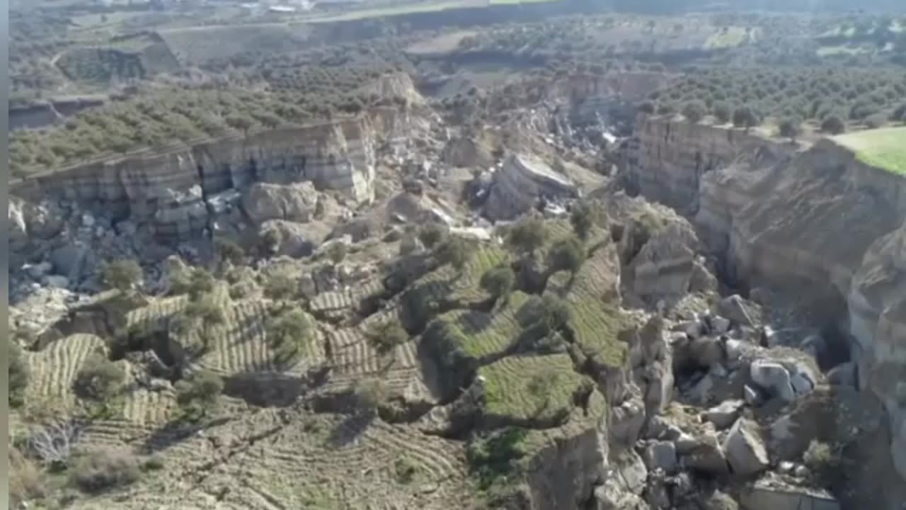 Türkiye earthquake splits olive grove in rift