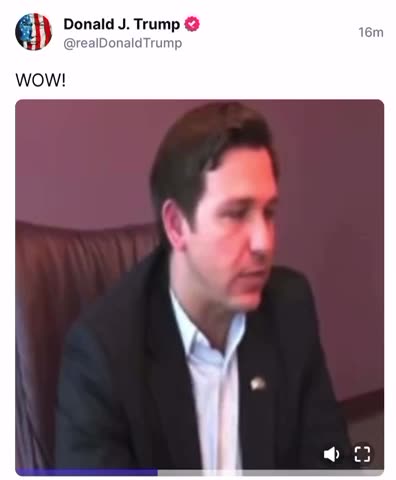 Another Establishment RINO