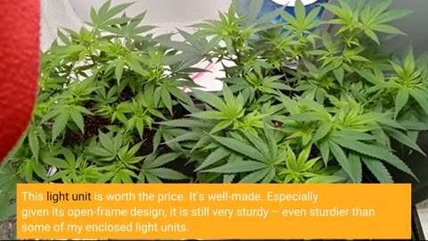 Hydofe LED #GrowLights for Indoor Plants 240W-Overview