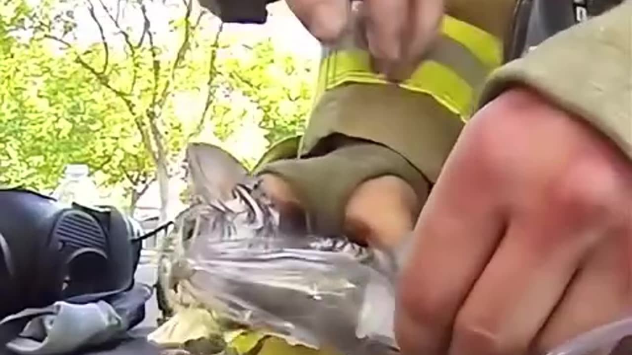 Firefighter saved the kitten's life